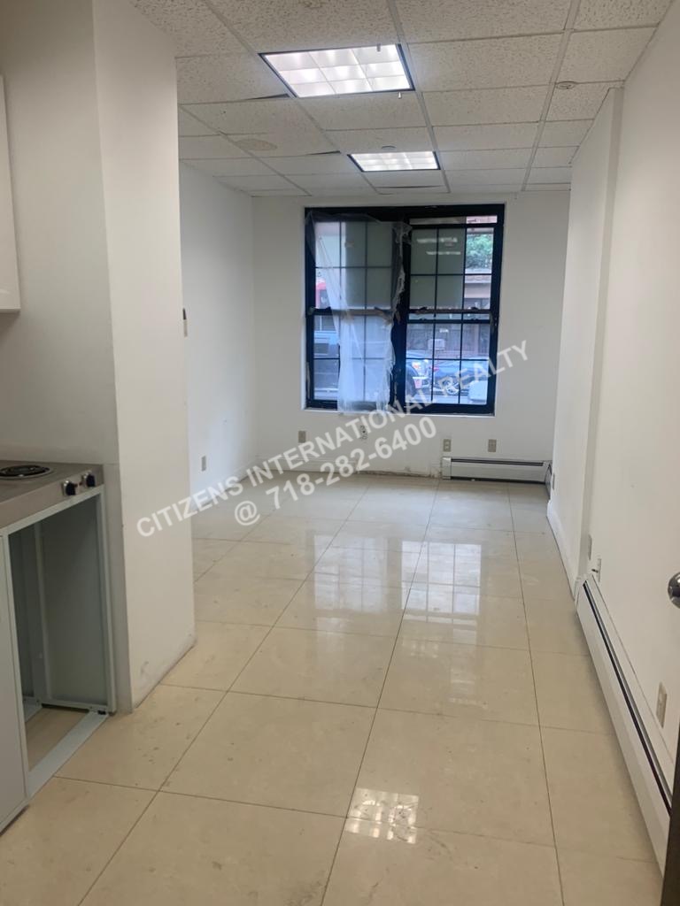  Rogers   Brooklyn, NY 11225, MLS-CR164-2