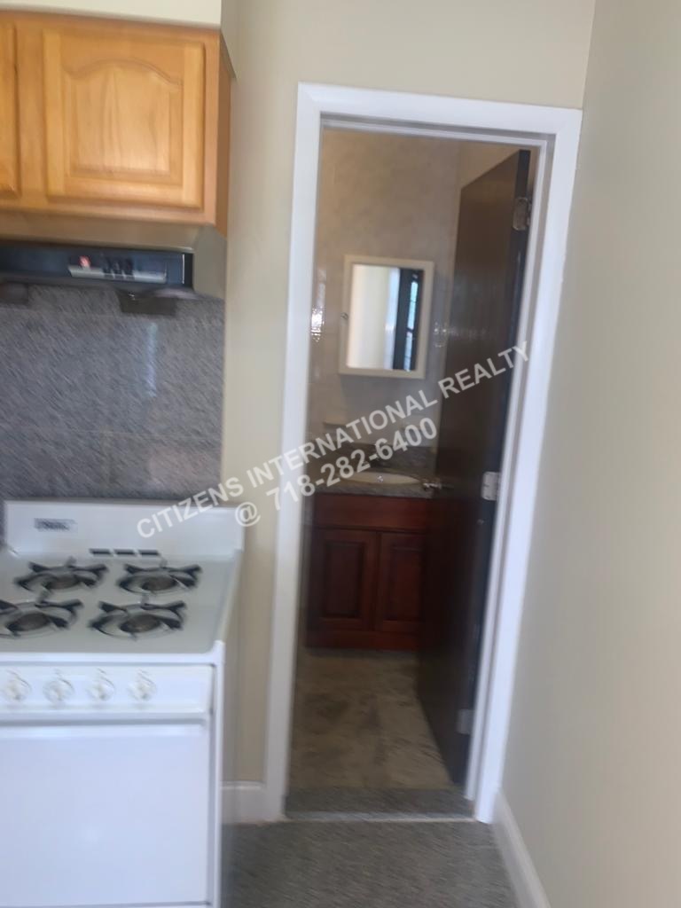 Apartment Rogers Ave   Brooklyn, NY 11225, MLS-CR166-2