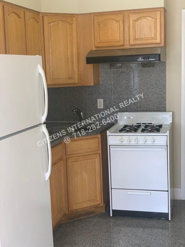 Apartment Rogers Ave   Brooklyn, NY 11225, MLS-CR166-4